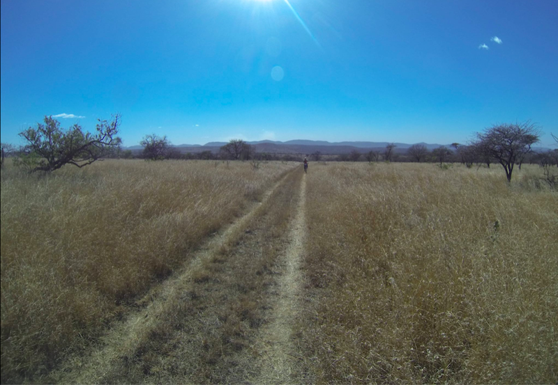 ride in the bush on a bicycle
