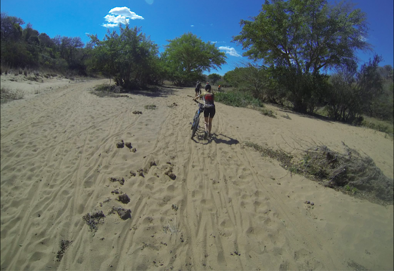 Kruger National Park cycles